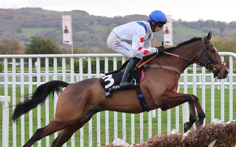 馬體會對賽硬淨值捧